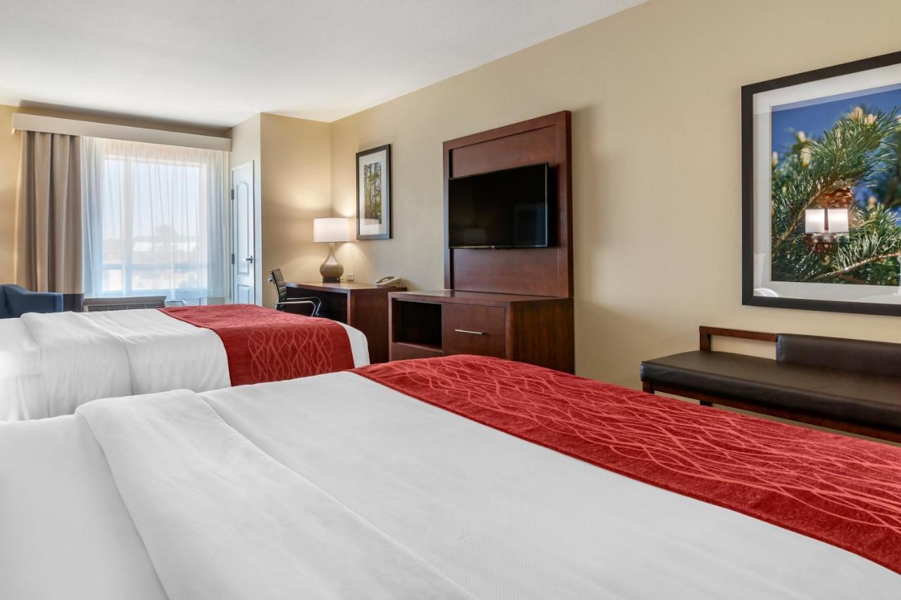 Comfort Inn & Suites Tifton Rom bilde